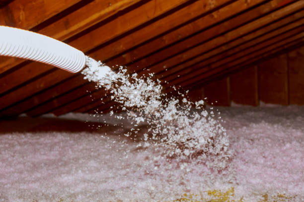 Best Eco-Friendly Insulation in Elgin, MN