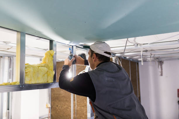 Best Insulation Maintenance and Repair in Elgin, MN