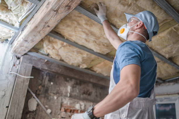 Best Spray Foam Insulation in Elgin, MN