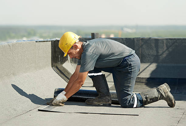 Best Commercial Insulation in Elgin, MN