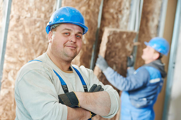 Best Residential Insulation in Elgin, MN