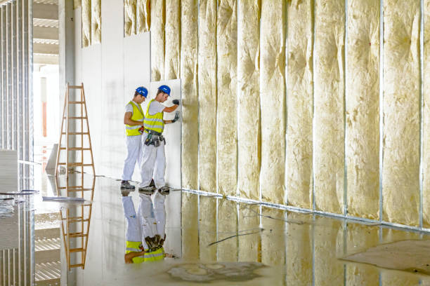 Best Cellulose Insulation in Elgin, MN